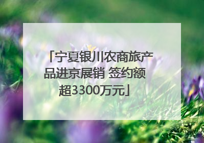 宁夏银川农商旅产品进京展销 签约额超3300万元