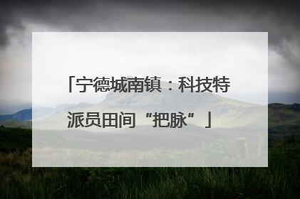 宁德城南镇：科技特派员田间“把脉”