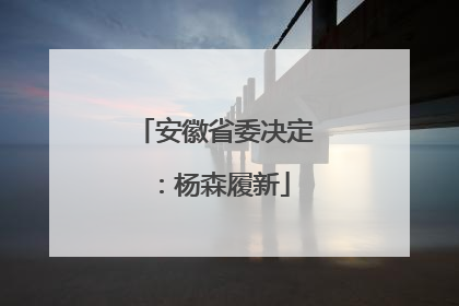 安徽省委决定：杨森履新