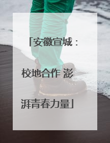 安徽宣城：校地合作 澎湃青春力量