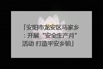 安阳市龙安区马家乡：开展“安全生产月”活动 打造平安乡镇