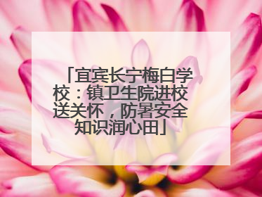 宜宾长宁梅白学校：镇卫生院进校送关怀，防暑安全知识润心田