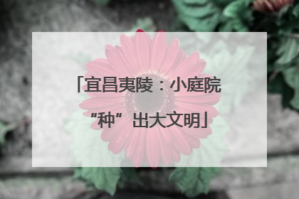 宜昌夷陵：小庭院“种”出大文明