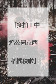 实拍！中坞公园京西稻插秧啦