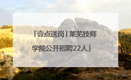 壹点送岗│莱芜技师学院公开招聘22人