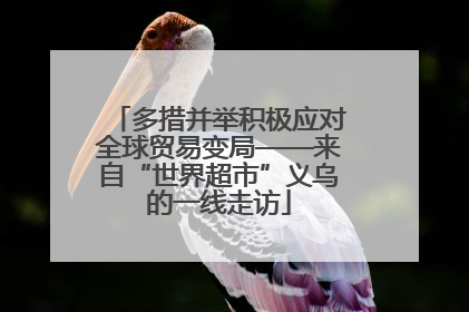 多措并举积极应对全球贸易变局——来自“世界超市”义乌的一线走访
