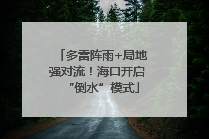 多雷阵雨+局地强对流！海口开启“倒水”模式
