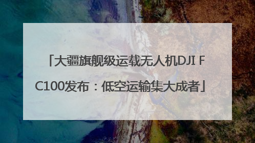 大疆旗舰级运载无人机DJI FC100发布：低空运输集大成者