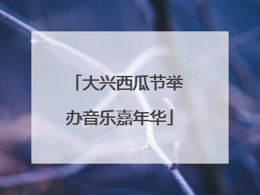 大兴西瓜节举办音乐嘉年华