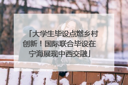 大学生毕设点燃乡村创新！国际联合毕设在宁海展现中西交融