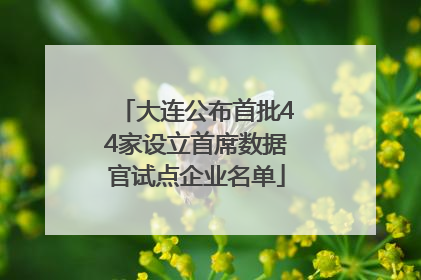 大连公布首批44家设立首席数据官试点企业名单