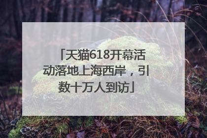 天猫618开幕活动落地上海西岸，引数十万人到访
