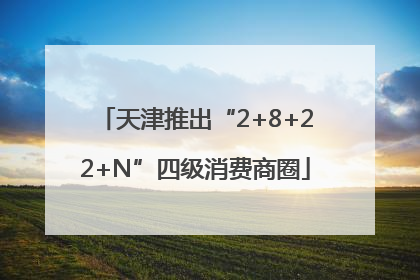天津推出“2+8+22+N”四级消费商圈