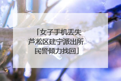 女子手机丢失 芦淞区建宁派出所民警倾力找回