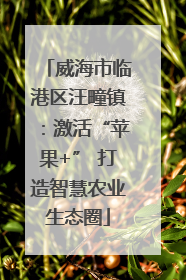 威海市临港区汪疃镇：激活“苹果+” 打造智慧农业生态圈