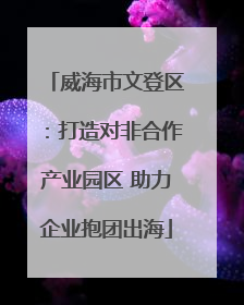 威海市文登区：打造对非合作产业园区 助力企业抱团出海