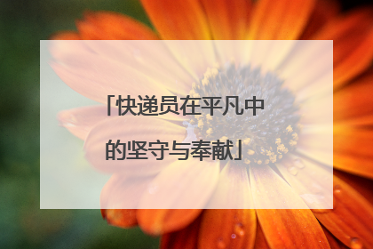 快递员在平凡中的坚守与奉献
