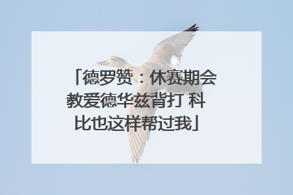 德罗赞：休赛期会教爱德华兹背打 科比也这样帮过我