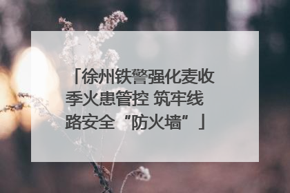 徐州铁警强化麦收季火患管控 筑牢线路安全“防火墙”