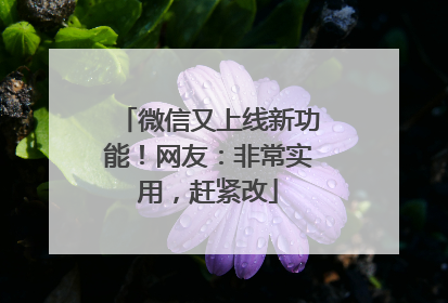 微信又上线新功能！网友：非常实用，赶紧改