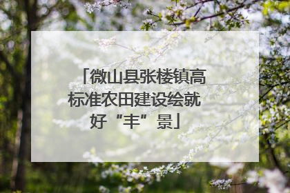 微山县张楼镇高标准农田建设绘就好“丰”景