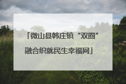 微山县韩庄镇“双圈”融合织就民生幸福网