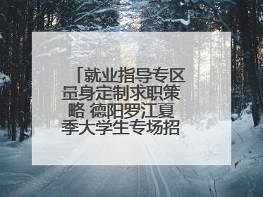 就业指导专区量身定制求职策略 德阳罗江夏季大学生专场招聘会成功举办