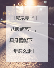 展示完“十八般武艺”，具身智能下一步怎么走