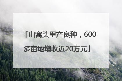 山窝头里产良种，600多亩地增收近20万元