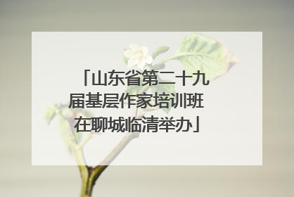 山东省第二十九届基层作家培训班在聊城临清举办