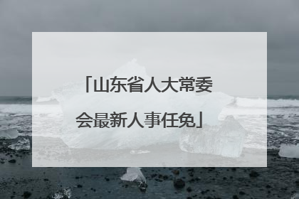 山东省人大常委会最新人事任免
