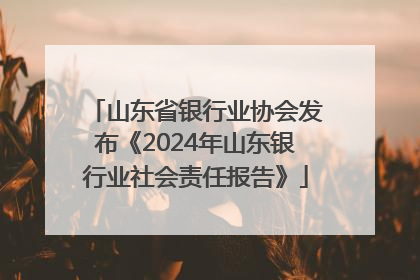 山东省银行业协会发布《2024年山东银行业社会责任报告》