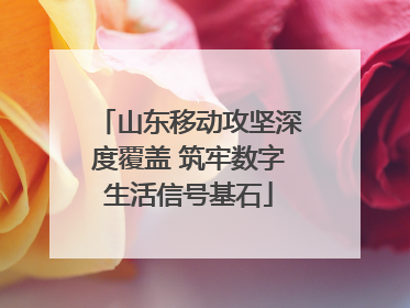 山东移动攻坚深度覆盖 筑牢数字生活信号基石