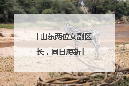 山东两位女副区长，同日履新