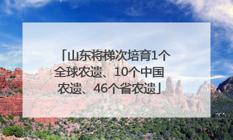山东将梯次培育1个全球农遗、10个中国农遗、46个省农遗