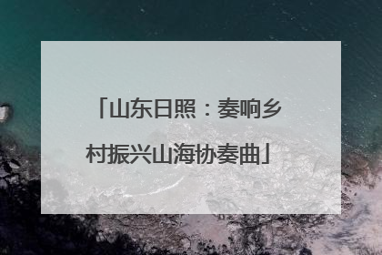 山东日照：奏响乡村振兴山海协奏曲