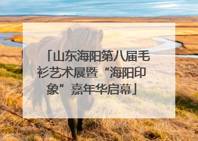 山东海阳第八届毛衫艺术展暨“海阳印象”嘉年华启幕