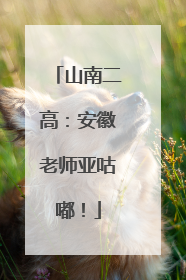 山南二高：安徽老师亚咕嘟！