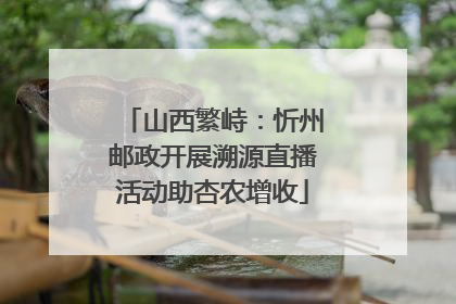 山西繁峙：忻州邮政开展溯源直播活动助杏农增收