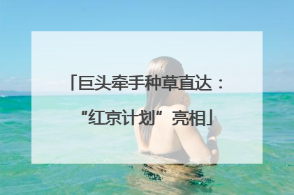 巨头牵手种草直达：“红京计划”亮相