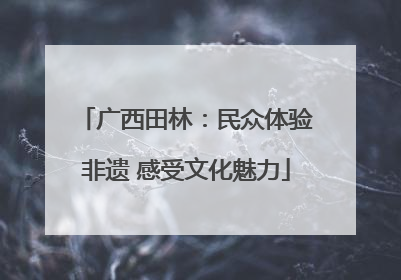 广西田林：民众体验非遗 感受文化魅力