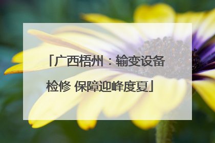 广西梧州：输变设备检修 保障迎峰度夏