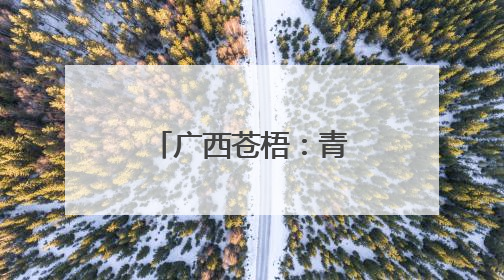 广西苍梧：青山绿水间绘就和美乡村新画卷