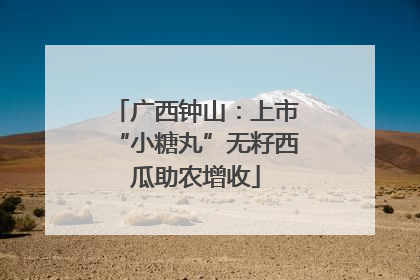 广西钟山：上市“小糖丸”无籽西瓜助农增收