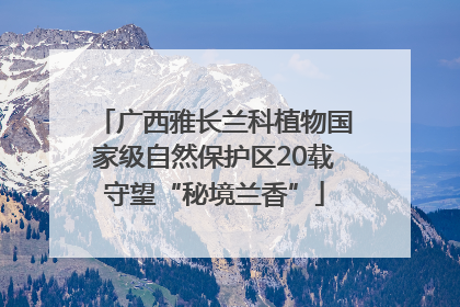广西雅长兰科植物国家级自然保护区20载守望“秘境兰香”