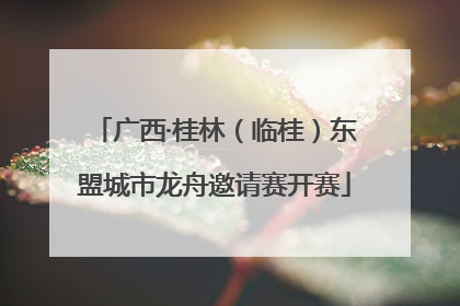 广西·桂林（临桂）东盟城市龙舟邀请赛开赛