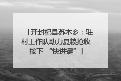 开封杞县苏木乡：驻村工作队助力夏粮抢收按下 “快进键”