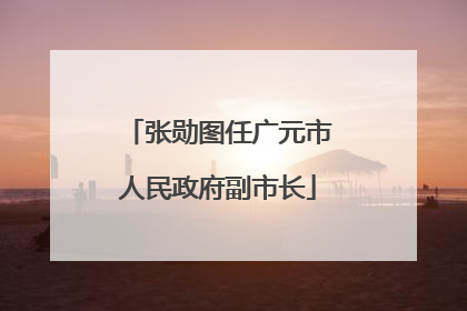 张勋图任广元市人民政府副市长