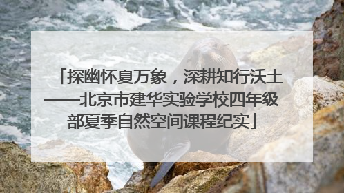探幽怀夏万象，深耕知行沃土——北京市建华实验学校四年级部夏季自然空间课程纪实