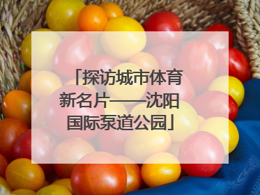 探访城市体育新名片——沈阳国际泵道公园